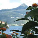 Sole