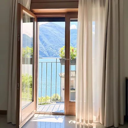 Sole